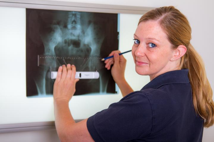 Osteopathie und Chiropraktik in München behandeln